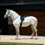 White WeatherBeeta Soft Shell Pro 3D Air-Tec Dressage Saddle Pad