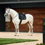 WeatherBeeta Satin Luxe Air-Tec Dressage Saddle Pad In Black - Lifestyle