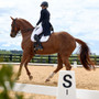 WeatherBeeta Satin Luxe Air-Tec Dressage Saddle Pad In White - Lifestyle