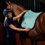 WeatherBeeta Suede Elite Air-Tec Dressage Saddle Pad In Aqua