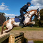 WeatherBeeta Suede Elite Air-Tec Jump Shaped Saddle Pad In Navy