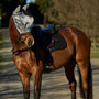 WeatherBeeta ComfiTec Hexi Shield Ride On Fly Mask