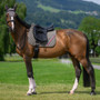 Tommy Hilfiger Stanford Dressage Saddle Pad
