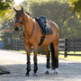 LeMieux Brilliance Dressage Saddle Pad - Espresso Lifestyle