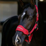 LeMieux Breakaway Vogue Headcollar in Chilli - Lifestyke