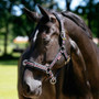 LeMieux Cavesson Lunge Headcollar in Black