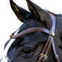 LeMieux Kudos Sport Bridle - Browband
