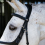 LeMieux Kudos Grackle Work Bridle - Black