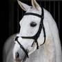 LeMieux Kudos Grackle Work Bridle in Black - Lifestyle