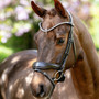 LeMieux Kudos Anatomic Dressage Bridle - Brown