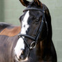 LeMieux Classique Flash Bridle - Lifestyle