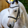 LeMieux Arika Cavesson Bridle in Brown/Silver - Lifestyle