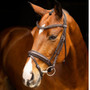 LeMieux Arika Dressage Bridle in Brown/Silver - Lifestyle