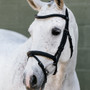 LeMieux Arika Flash Bridle - Black