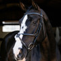 LeMieux Arika Grackle Bridle in Black/Silver - Lifestyle
