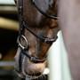 LeMieux Arika Grackle Bridle in Havana/Silver - Lifestyle Straps Detail