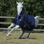 Bucas Freedom Turnout Rug Light with Full Neck