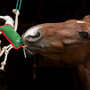 Horseware Stable Toy - Lifestyle 1