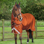 Premier Equine Stratus 600D Series Turnout Rug with Classic Neck Cover 200g