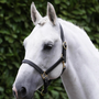 Premier Equine Traditional Leather Headcollar - Black