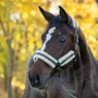 Covalliero Soft Headcollar in Forest Green - Lifestyle
