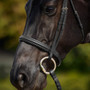 Dublin Padded Cavesson Bridle - Black