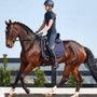 Dublin Padded Flash Bridle - Brown