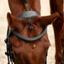 Dublin Padded Flash Bridle - Black