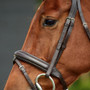 Dublin Padded Flash Bridle - Brown