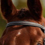 Dublin Padded Mono Crown Fancy Stitch Grackle Bridle - Band detauk