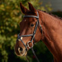 Dublin Padded Mono Crown Fancy Stitch Grackle Bridle