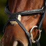 Dublin Padded Mono Crown Fancy Stitch Grackle Bridle - Black nose detail