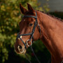 Dublin Padded Mono Crown Fancy Stitch Grackle Bridle in Black
