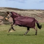 LeMieux Arika 600D Ripstop Turnout Rug 0g in Bramble - Lifestyle