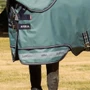 LeMieux Arika 600D Ripstop Turnout Rug 100g in Aloe - Two Part Skirt