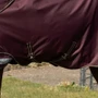 LeMieux Arika 600D Ripstop Turnout Rug 100g in Bramble - Cross Surcingles