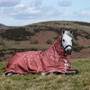 LeMieux Arika Star Turnout Rug 100g in Spiced Earth - Lifestyle