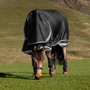 LeMieux Kudos Neo-Turnout Rug 100g in Black - Lifestyle