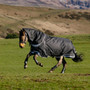 LeMieux Kudos Neo-Turnout Rug 100g in Black - Lifestyle