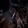 LeMieux ProForm Moulded Close Contact Pad - Lifestyle, Navy
