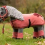 LeMieux Toy Pony Rug in Spiced Earth - Lifestyle