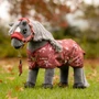 LeMieux Toy Pony Printed Turnout Rug in Spiced Earth - Lifestyle