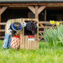 LeMieux Toy Pony Stable Set - Lifestyle