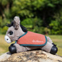 LeMieux Tiny Pony Beanie Fleece Rug 2 Pack in Spiced Earth - Lifestyle