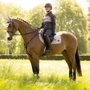 LeMieux Heritage Herringbone Jump Saddle Pad in Wild Rose
