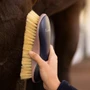 LeMieux Body Brush in Navy - Lifestyle