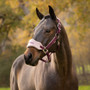 LeMieux Vogue Headcollar and Leadrope in Blackberry - Lifestyle