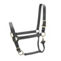 ARMA Premium Adjustable Headcollar in Grey