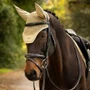 LeMieux Essence Fly Hood in Pear - Lifestyle