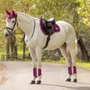 LeMieux Loire Classic General Purpose Saddle Pad in Blackberry - Lifestyle